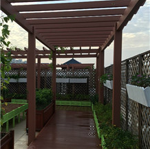 園區(qū)木塑廊架.png